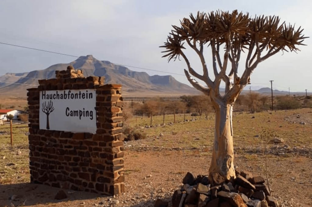 Steinernes Camping-Schild und markanter Aloebaum vor trockener Ebene und Tafelberg im warmen Nachmittagslicht