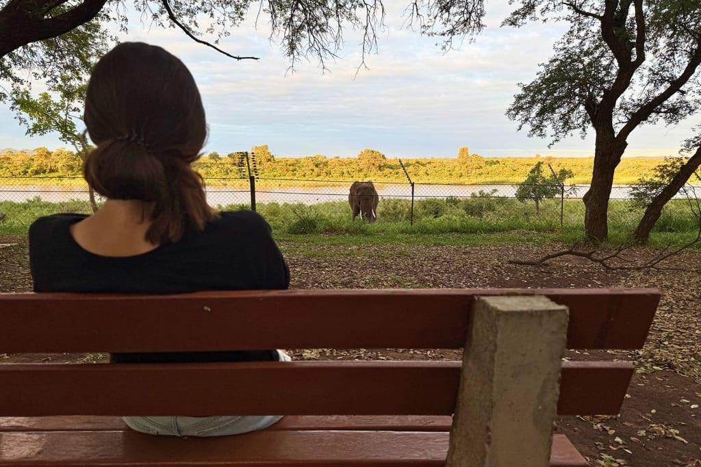 Person sitzt auf Bank und schaut zu Elefant am Flussufer bei warmem Abendlicht.