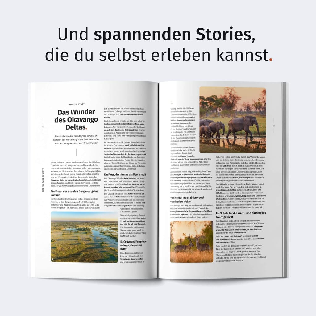 Aufgeschlagenes Magazin mit Reiseartikel und Landschaftsfotos auf hellem Hintergrund.