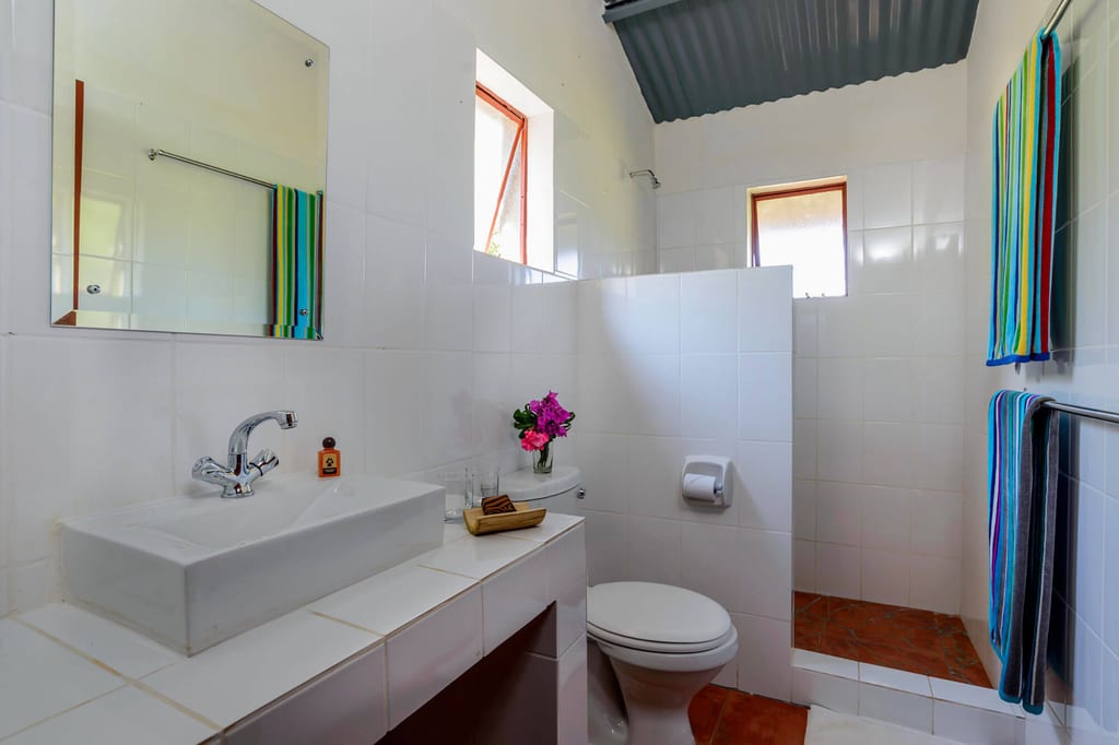 Helles Badezimmer mit Waschbecken, Toilette, Dusche und bunten Handtüchern, zwei Fenster und Blumen