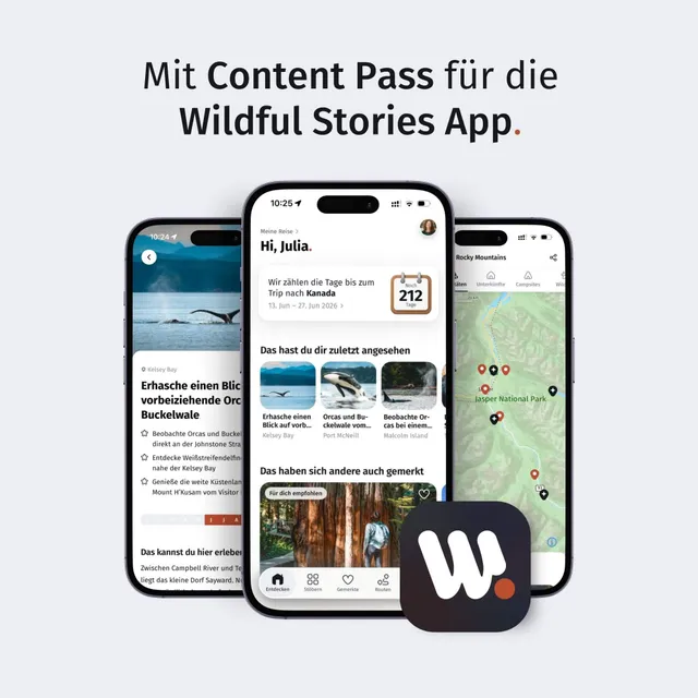 Drei Smartphones zeigen die Benutzeroberfläche einer Reise-App mit Karten-, Artikel- und Startansicht.