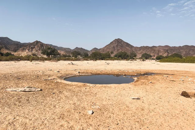 Trockene Wüstenlandschaft mit kleinem Wasserloch und karger Bergkulisse bei klarem Himmel.