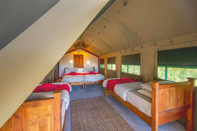 Innenraum eines Safari-Zeltes mit mehreren Holzbetten, Tageslicht durch Fenster und warmer Beleuchtung