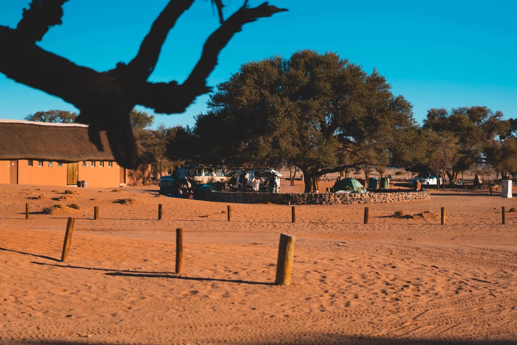Campground mit Zelten, Fahrzeugen und Strohdach unter großen Bäumen im warmen Spätnachmittagslicht.
