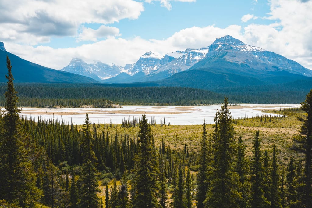 Howse Pass am Icefields Parkway
