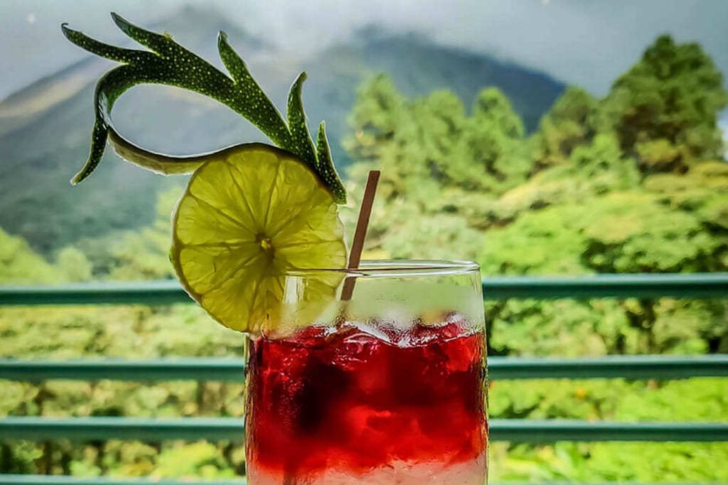 Nahaufnahme eines Cocktails mit Limettenscheibe und grünem Blatt vor unscharfer Berglandschaft