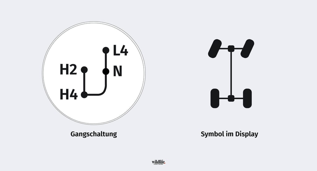 Fahren im Tiefsand Infografik