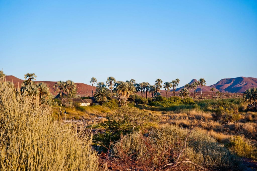 Weite, trockene Landschaft mit Palmen, Sträuchern und roten Hügeln im warmen Nachmittagslicht.