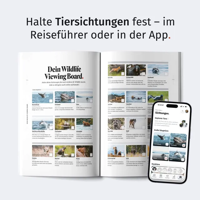 Aufgeklappte Broschüre mit Tierfotos neben Smartphone mit App für Tiersichtungen.