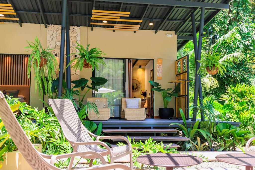 Sonnige Veranda mit Hängefarn, Rattan-Sesseln und Gartenlounges im Vordergrund.