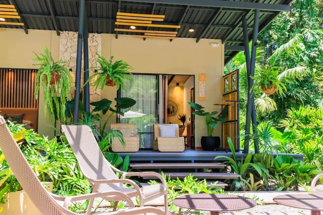 Sonnige Veranda mit Hängefarn, Rattan-Sesseln und Gartenlounges im Vordergrund.