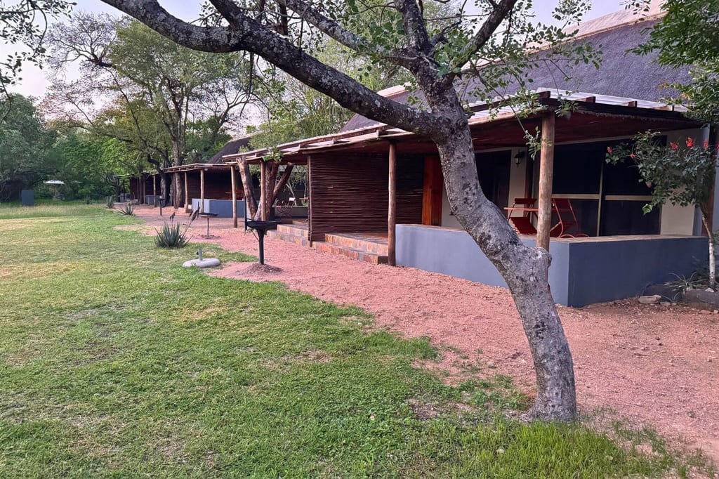 Reihe von Bungalows mit Veranden, Rasen und Bäumen im Abendlicht.