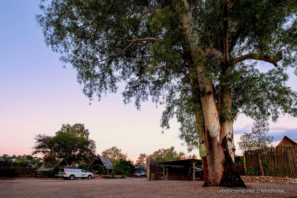Ruhiger Campingplatz bei Abenddämmerung mit großem Baum im Vordergrund und Hütten im Hintergrund.