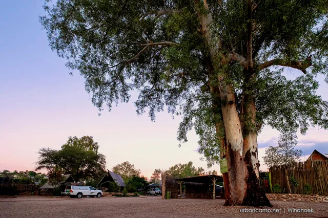 Ruhiger Campingplatz bei Abenddämmerung mit großem Baum im Vordergrund und Hütten im Hintergrund.