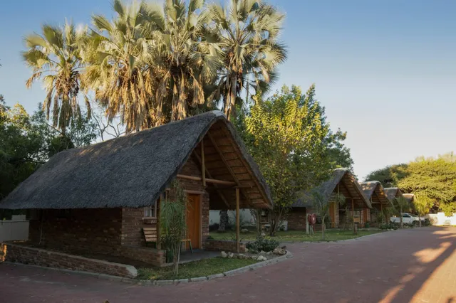 Reihe strohgedeckter Bungalows an einer gepflasterten Einfahrt im warmen Abendlicht.