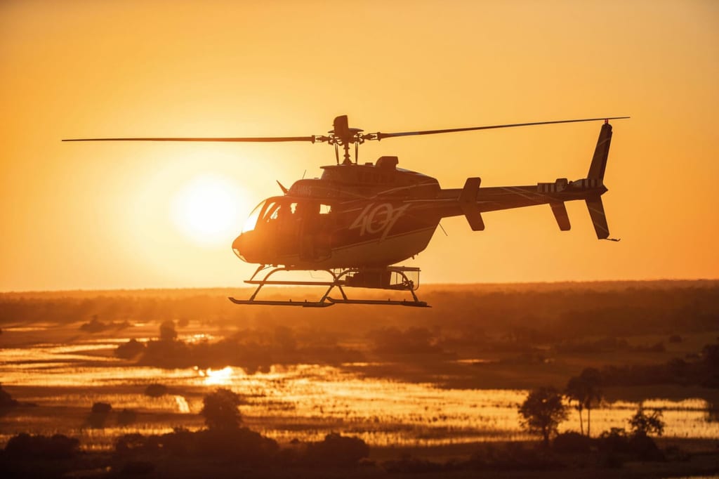 Helikopter in Seitenansicht als Silhouette vor goldenem Sonnenuntergang über Feuchtgebiet