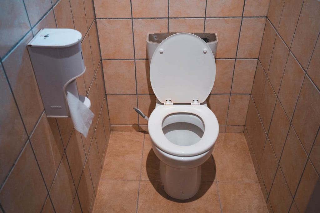 Offenes weißes Toilettenbecken in kleiner, gefliester WC-Kabine mit Toilettenpapierspender