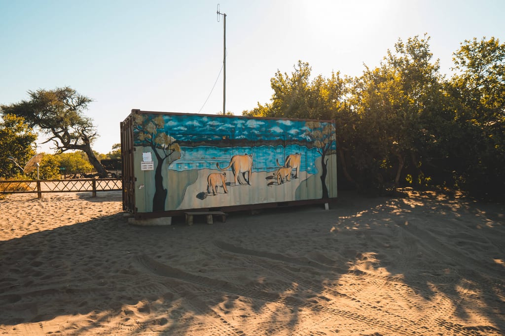Bemalter Container mit Wandbild von drei gemalten großen Tieren auf sandigem Platz im warmen Abendlicht