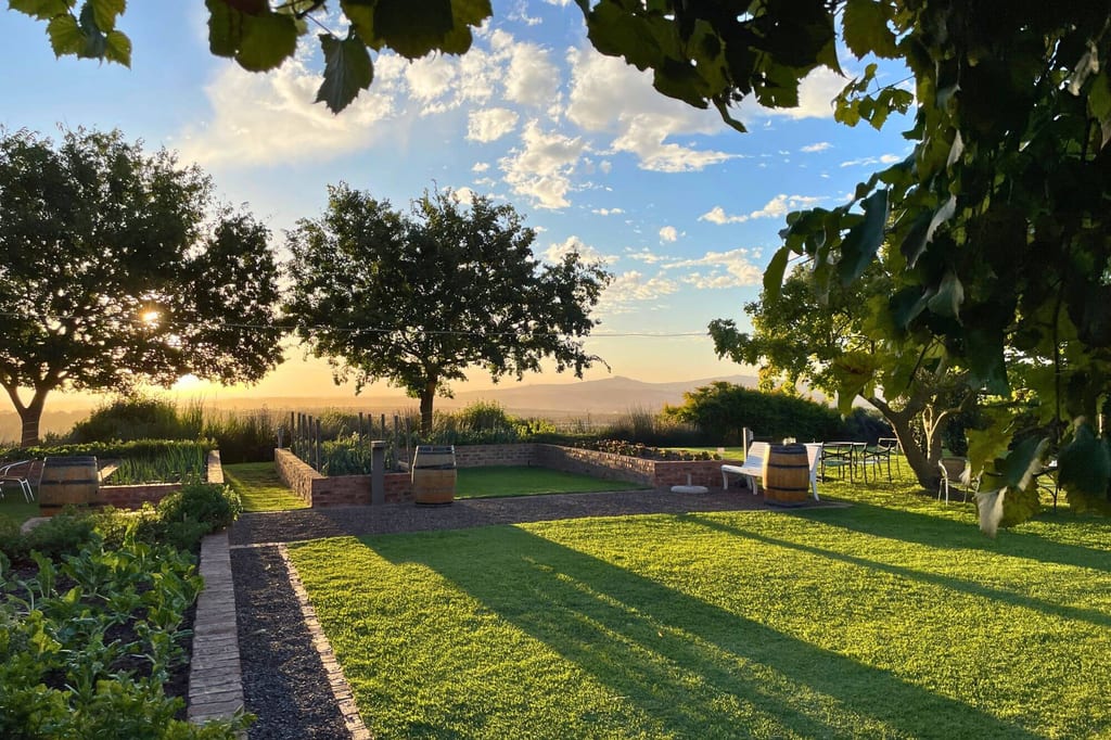 Gepflegter Garten mit Rasen, Bäumen, Weinfässern und langer Abendsonne, eingerahmt von Blättern.