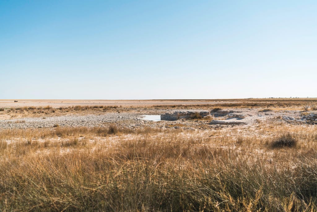 Weite flache Salztonebene mit trockenem Gras, kleinem Wasserloch und klarem blauen Himmel.