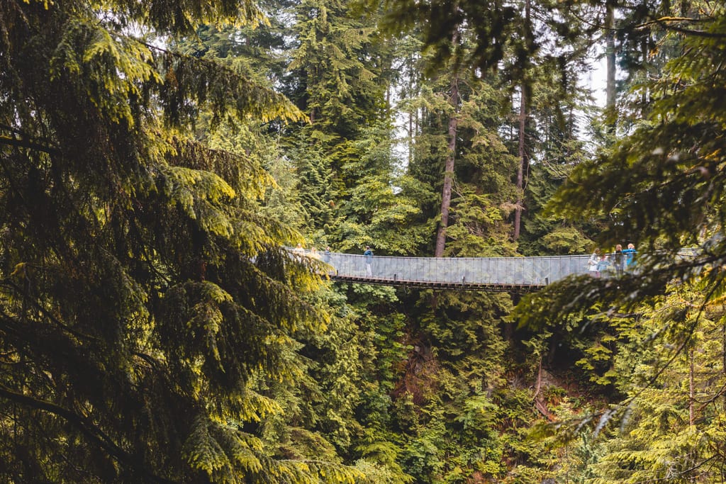 Hängebrücke im Park in Vancouver