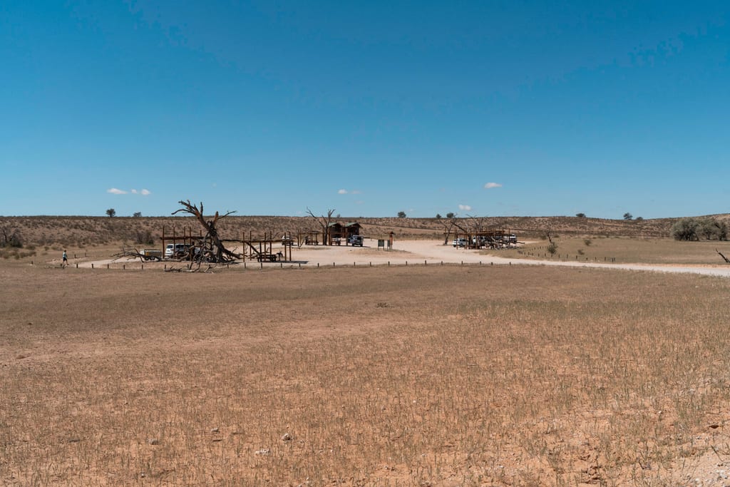 Weite trockene Steppe mit abgestorbenen Bäumen und einem kleinen Rastplatz unter klarem blauen Himmel.