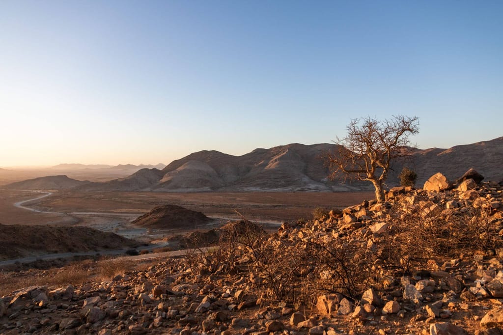 Karge Wüstenlandschaft bei tief stehender Sonne mit kahlem Baum auf steinigem Hang