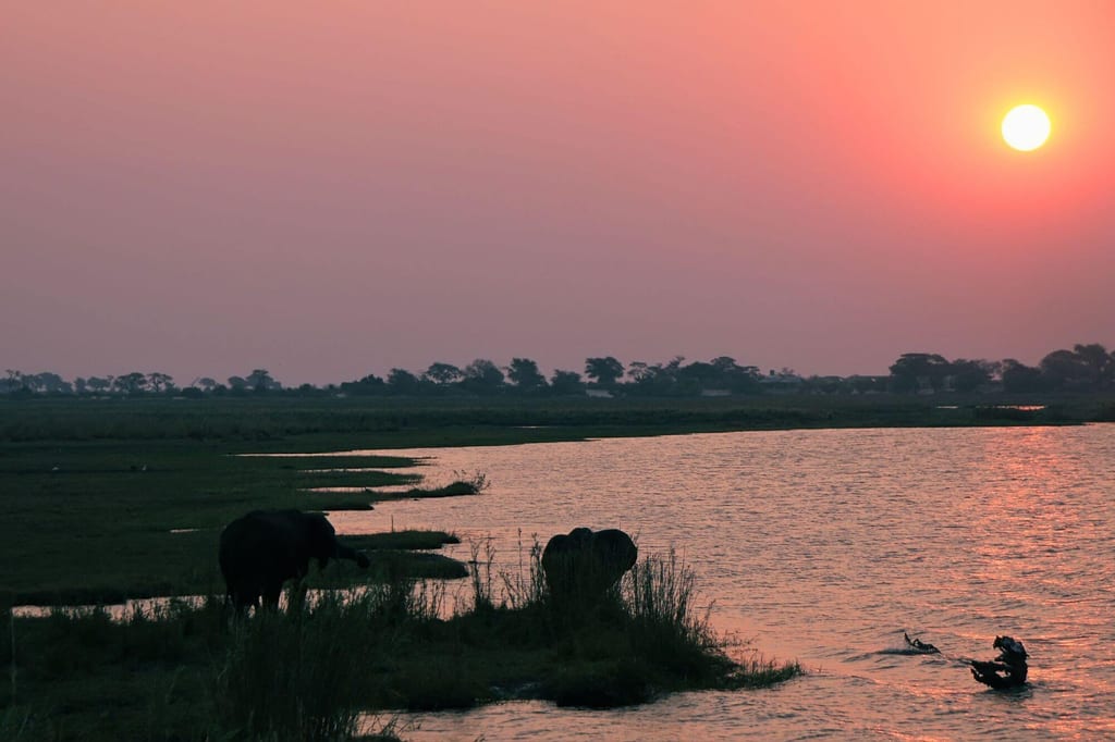 Drei Elefanten am Flussufer bei rotem Sonnenuntergang, ruhige Abendstimmung