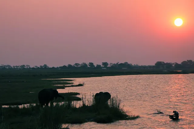 Drei Elefanten am Flussufer bei rotem Sonnenuntergang, ruhige Abendstimmung