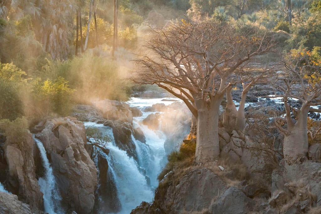 Felsige Schlucht mit Wasserfällen und Baobab-Bäumen im warmen Seitenlicht