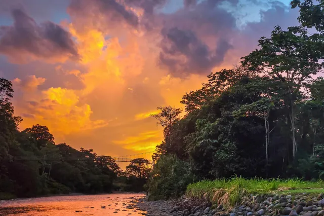 Flussufer mit tropischem Wald, Hängeseilbrücke und orange-violettem Sonnenuntergang