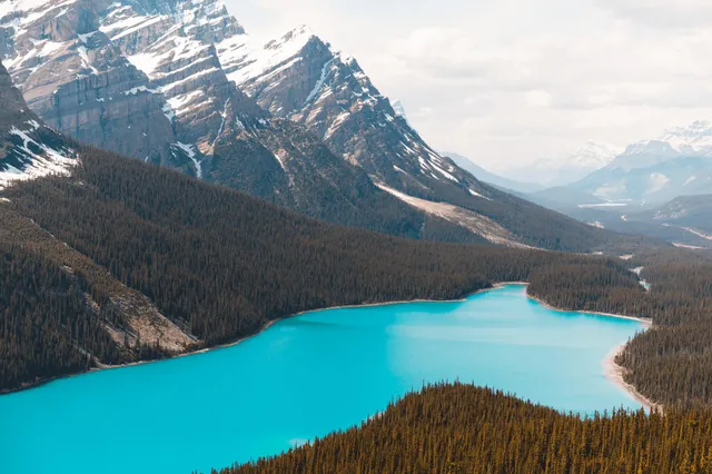 Türkischblauer Peyto Lake in den Rocky Mountains