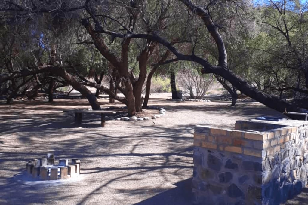 Picknickplatz mit gemauerter Grillstelle unter ausladenden Bäumen und Schatten.
