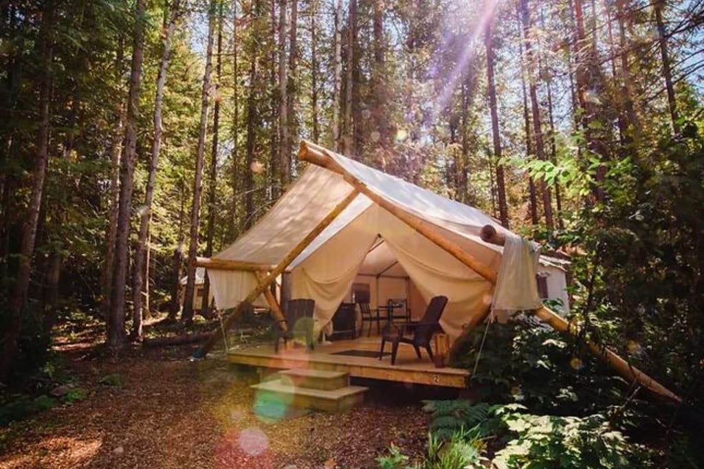 Glamping-Zelt auf Holzveranda im sonnendurchfluteten Nadelwald mit zwei Stühlen