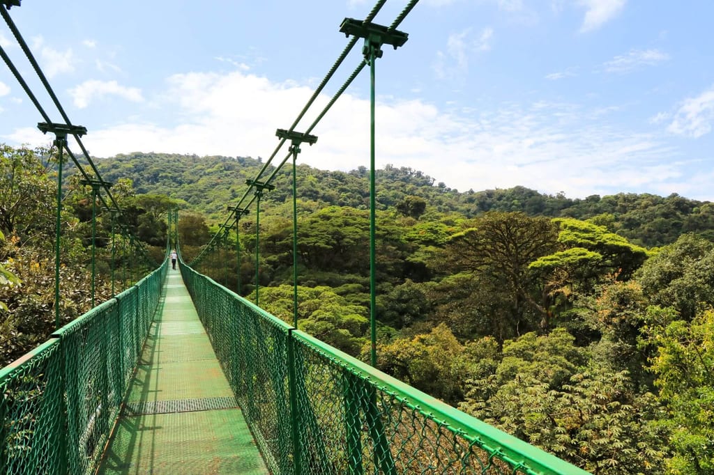 Grüne Hängebrücke über dichten Regenwald, eine Person in der Ferne, sonniger Tag