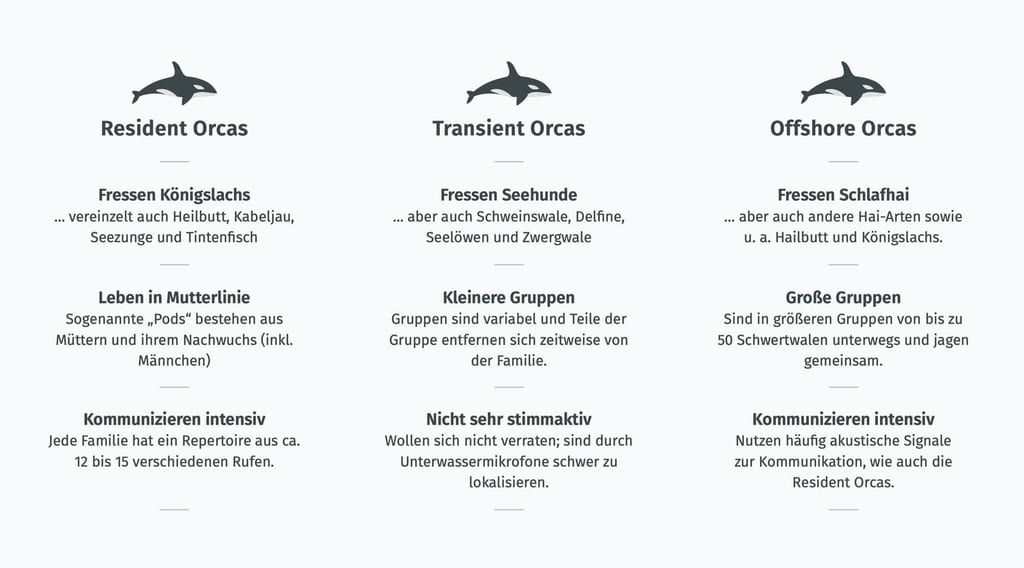 Überblick zu den verschiedenen Ökotypen