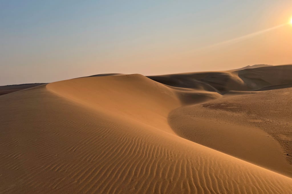 Weite Sanddünen mit Windrippen im warmen Licht der tief stehenden Sonne