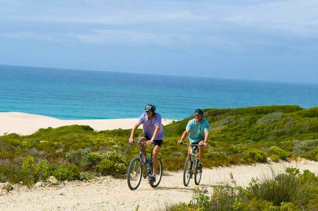 Zwei Radfahrer auf einem sandigen Küstenweg vor Sanddünen und türkisblauem Meer