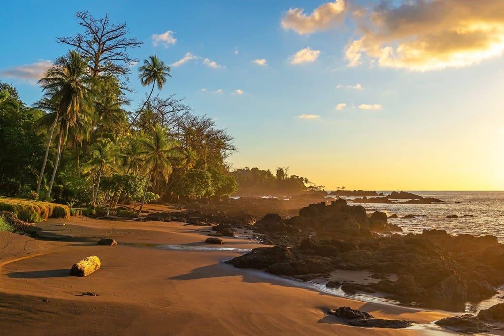 Tropischer Strand mit Palmen, schwarzen Sand und Felsen im goldenen Abendlicht.