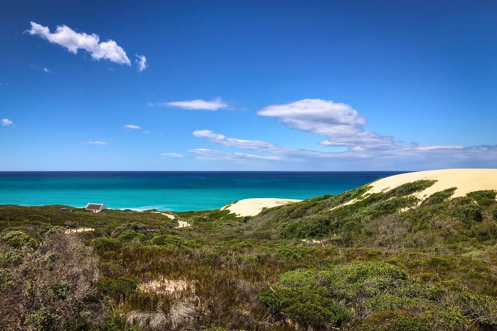 Weite Dünen- und Küstenlandschaft mit türkisblauem Meer und klarem Himmel im De Hoop Nature Reserve, Südafrika.