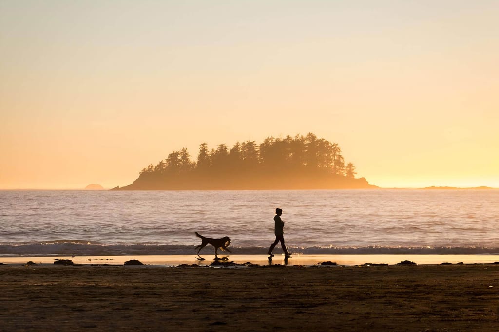 Person mit Hund geht am Strand bei Sonnenuntergang vor einer bewaldeten Insel in Tofino, Kanada