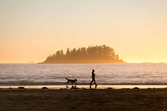Person mit Hund geht am Strand bei Sonnenuntergang vor einer bewaldeten Insel in Tofino, Kanada