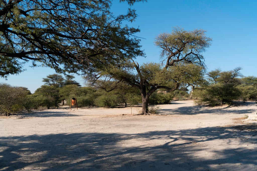 Trockene Sandfläche mit vereinzelten Bäumen und Schatten unter klarem blauem Himmel.
