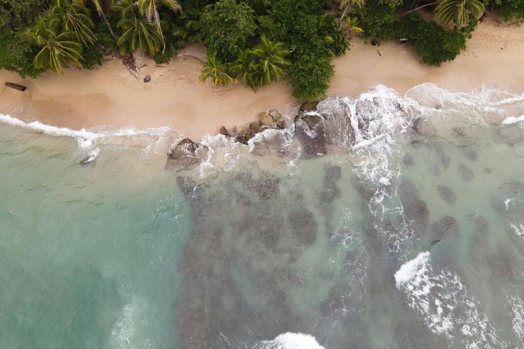 Luftaufnahme: sandiger Strand mit Palmen, Felsen und türkis-grüner Brandung unter bewölktem Himmel.