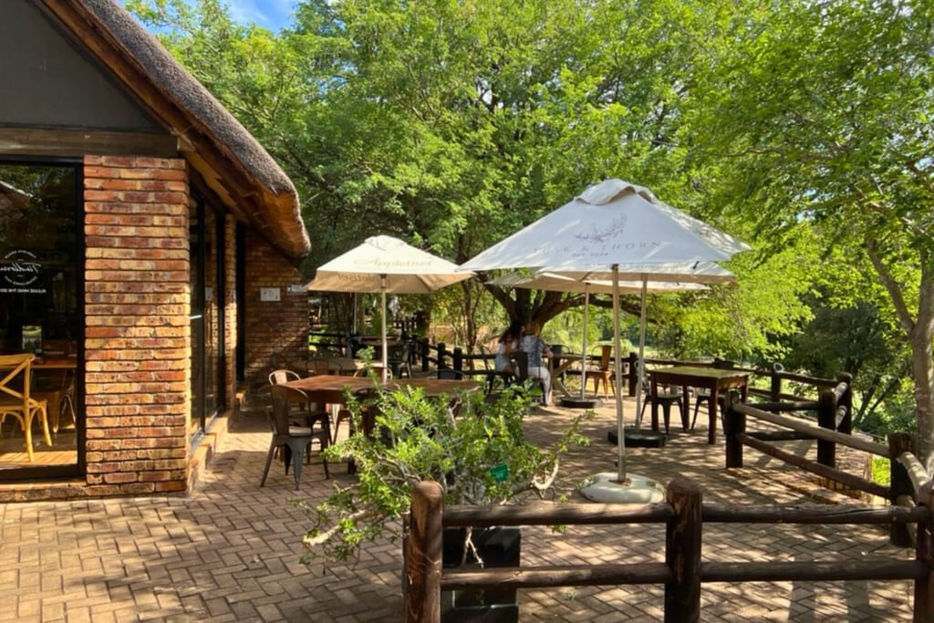 Terrasse eines Lodges mit Tischen, Sonnenschirmen und Bäumen bei sonnigem Wetter