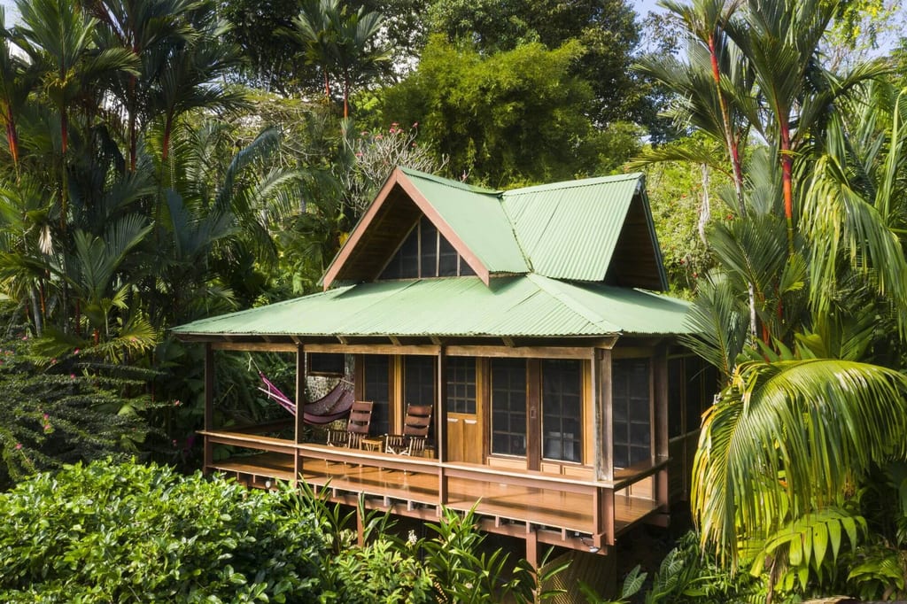 Holzhaus auf Stelzen mit Veranda und Hängematte in dichter tropischer Vegetation