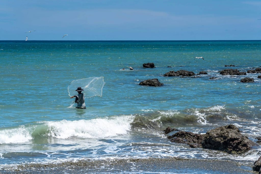 Fischer wirft Wurfnetz in türkisblauem Meer vor felsiger Küste, Puerto Jiménez, Costa Rica
