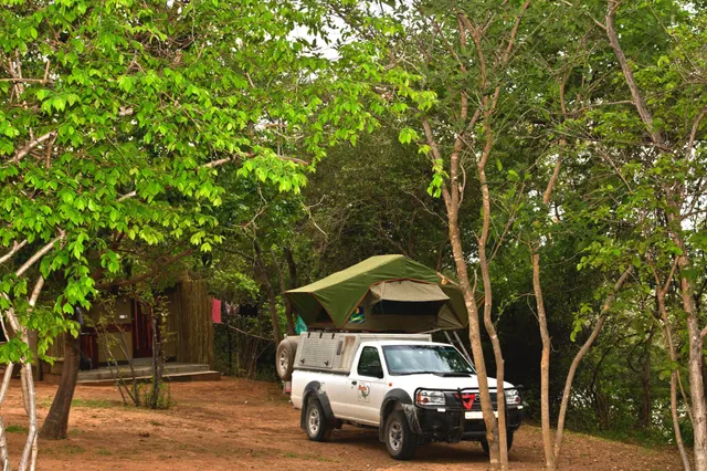 Weißer Pickup mit aufklappbarem Dachzelt auf schattigem Waldcampingplatz neben Holzhütte