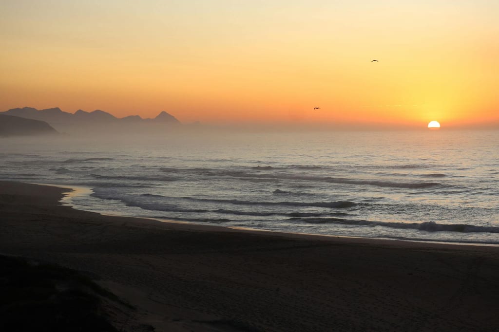 Sandstrand mit Wellen, Sonne am Horizont und zwei Vögeln in goldenem Licht.