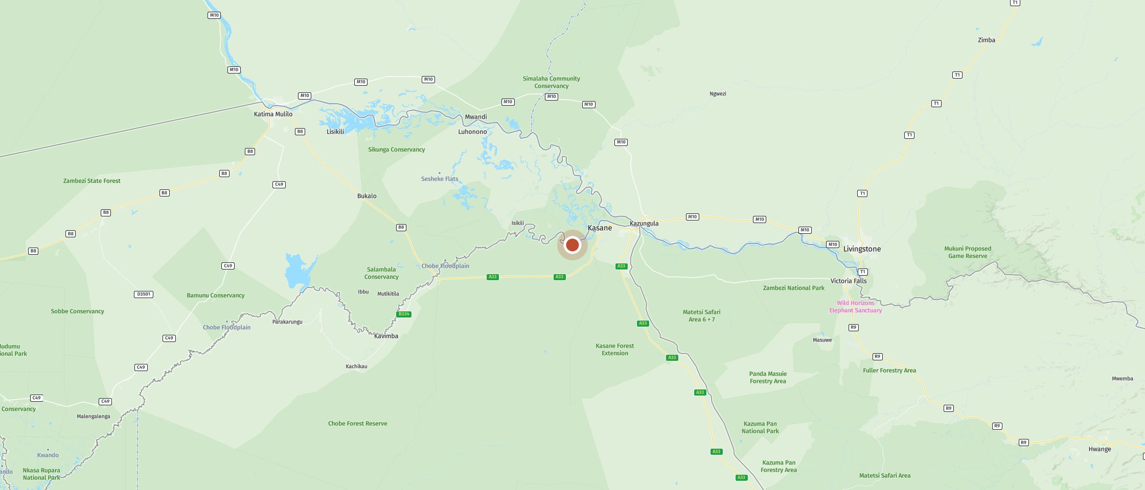 Map: Watch the local lion pride after a successful night-time hunt